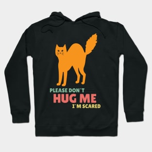 Please Don`t Hug Me Funny Orange Cat for Social distancing or Introverts Hoodie